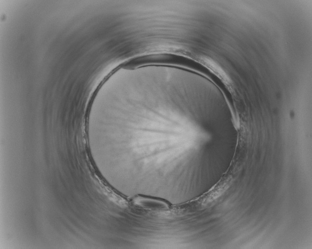 X0000070250948200606301622