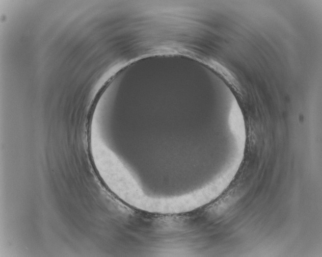 X0000070250950200606301622