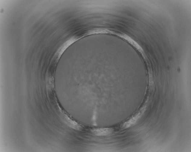 X0000070250953200606301622