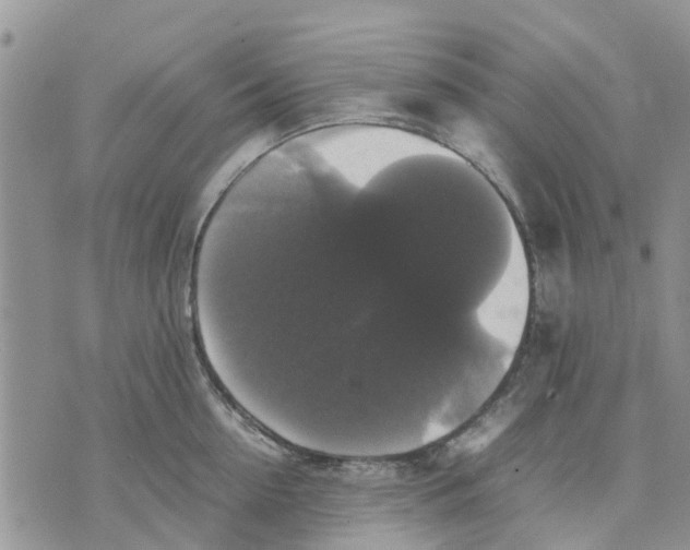 X0000070250954200606301622