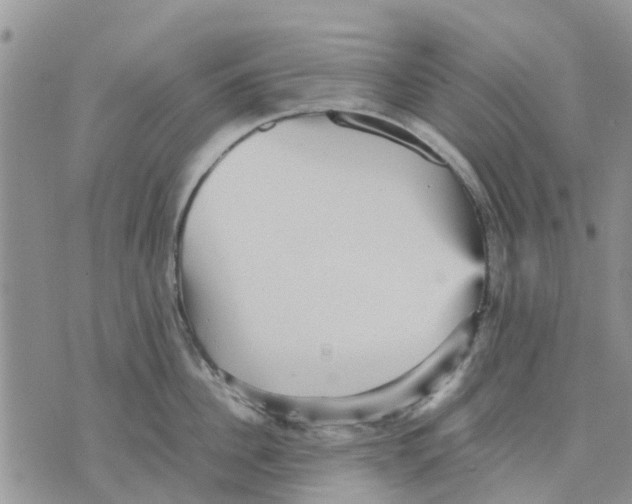 X0000070250956200606301622