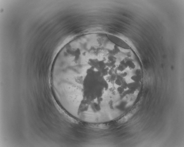 X0000070250957200606301622