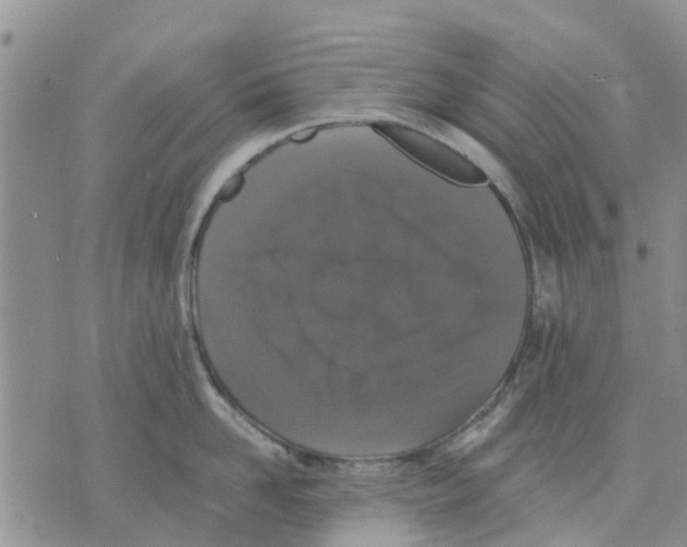 X0000070250958200606301622