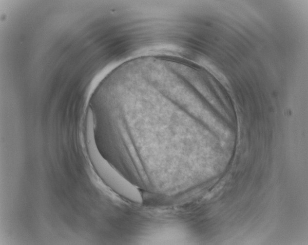 X0000070250960200606301622