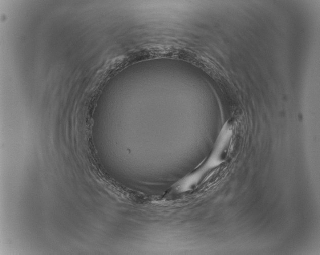 X0000070250961200606301622