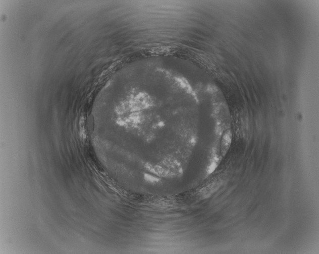 X0000070250962200606301622