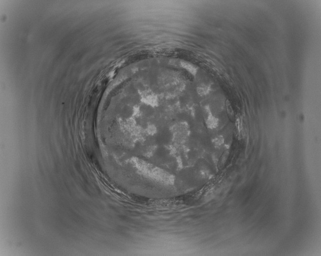 X0000070250963200606301622