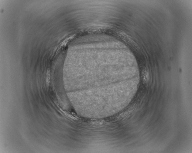 X0000070250964200606301622