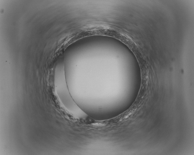 X0000070250965200606301622