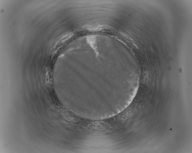 X0000070250966200606301622