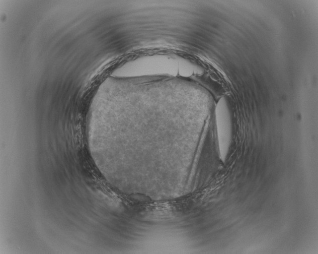 X0000070250968200606301622