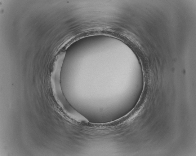 X0000070250969200606301622