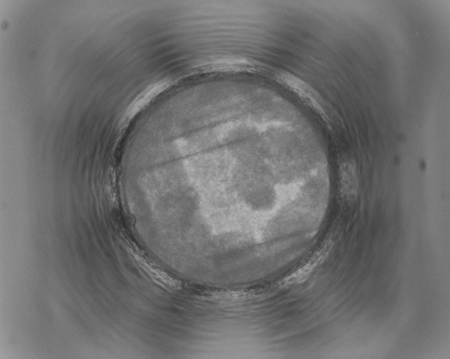 X0000070250970200606301622