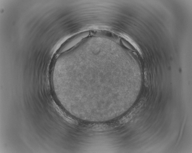 X0000070250972200606301622