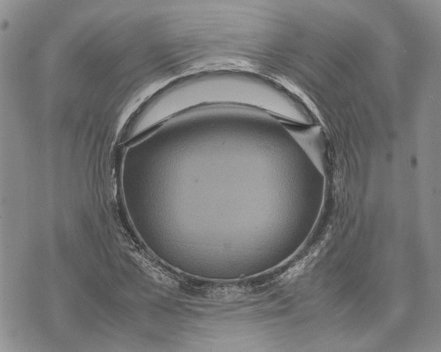 X0000070250973200606301621