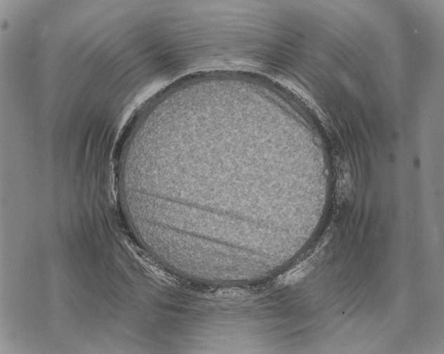 X0000070250974200606301621