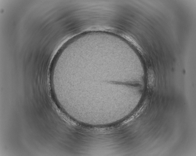 X0000070250976200606301621