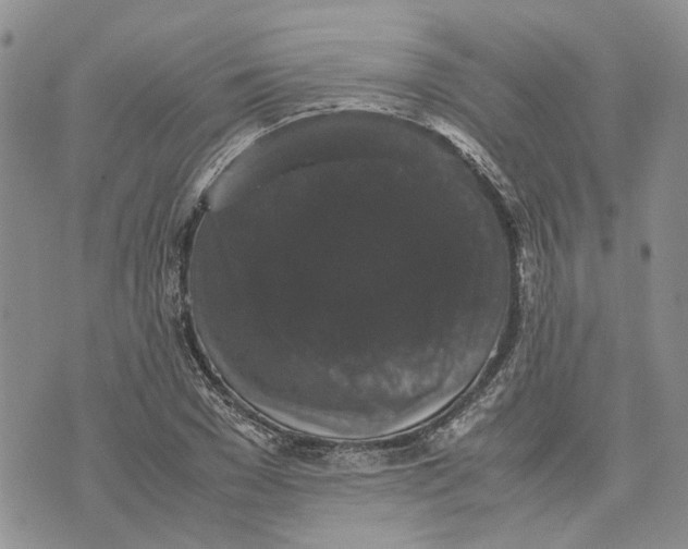 X0000070250977200606301621