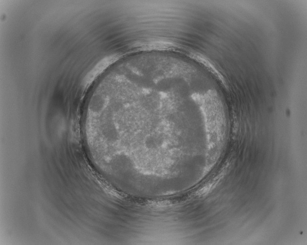 X0000070250978200606301621