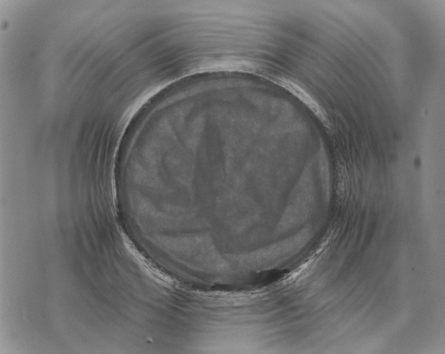 X0000070250980200606301621