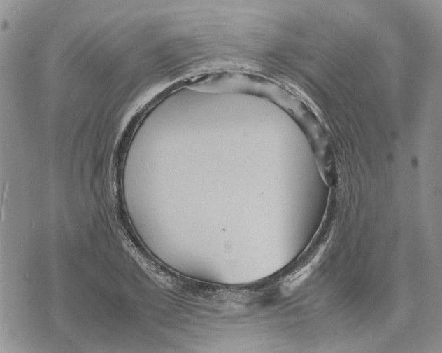 X0000070250981200606301621