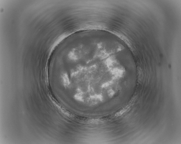 X0000070250982200606301621