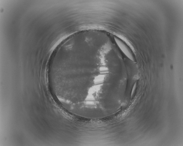 X0000070250983200606301621