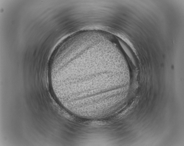 X0000070250984200606301621