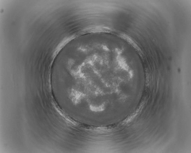 X0000070250986200606301621