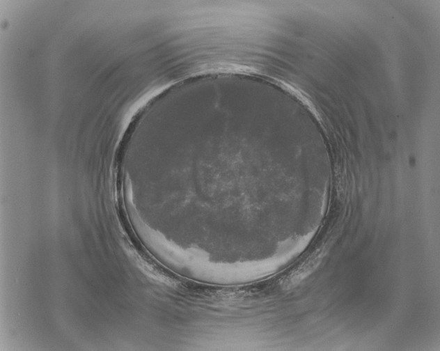 X0000070250987200606301621