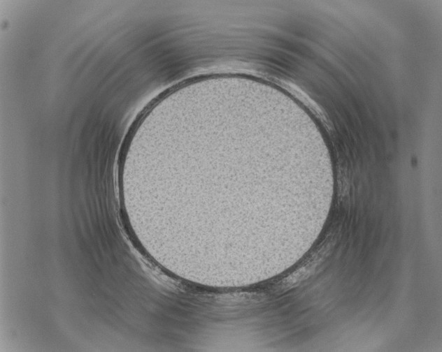 X0000070250988200606301621