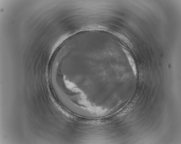 X0000070250990200606301621