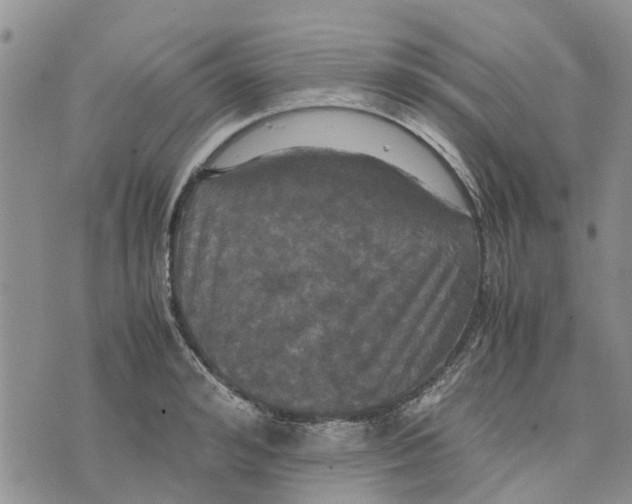 X0000070250992200606301621