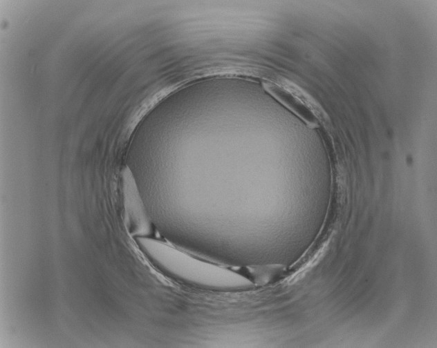 X0000070250993200606301621