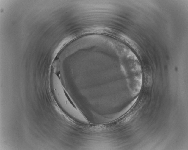 X0000070250994200606301621