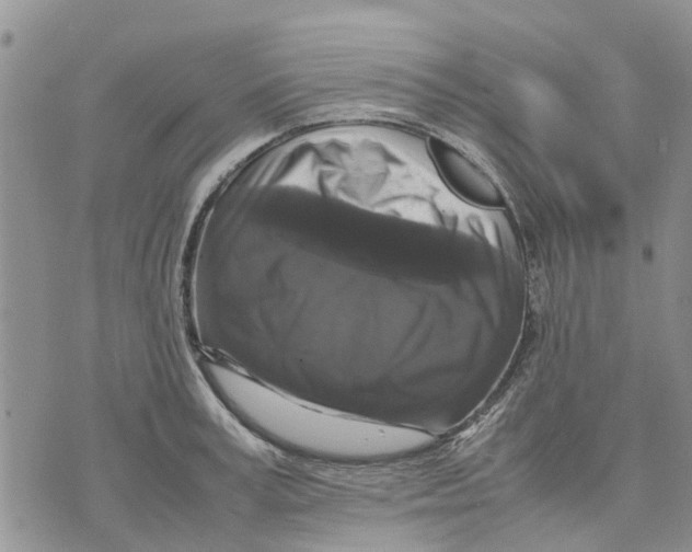 X0000070250995200606301621