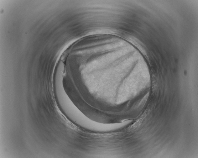 X0000070250996200606301621