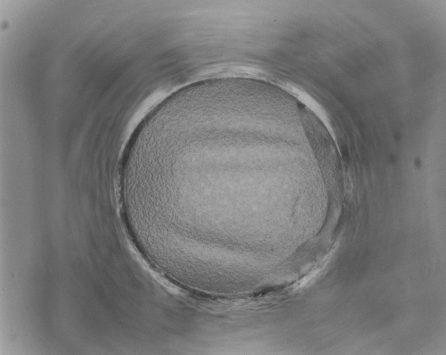 X0000070250997200606301621