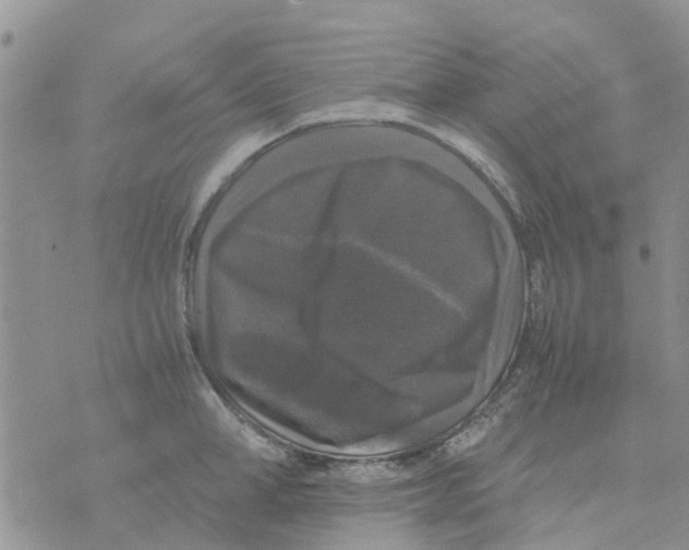 X0000070250998200606301621