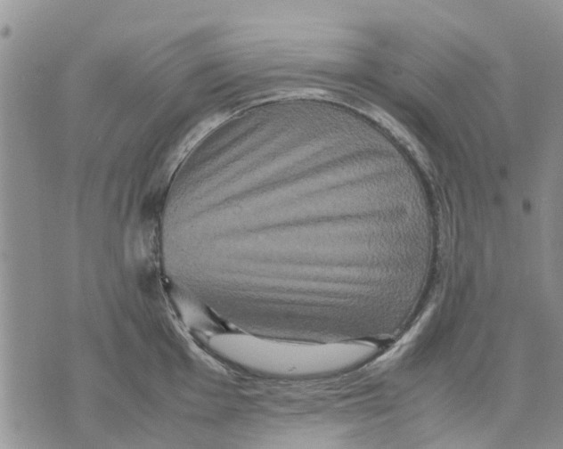 X0000070251001200606301621