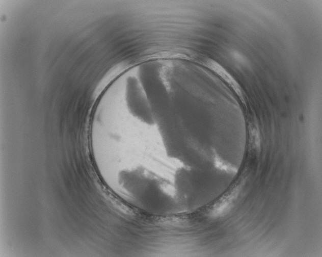 X0000070251002200606301621