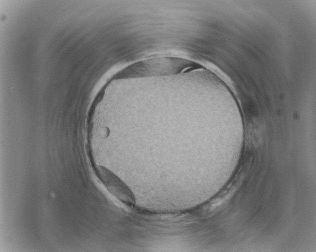 X0000070251005200606301621