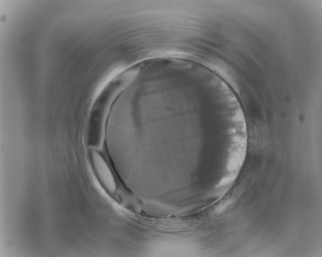 X0000070251007200606301621