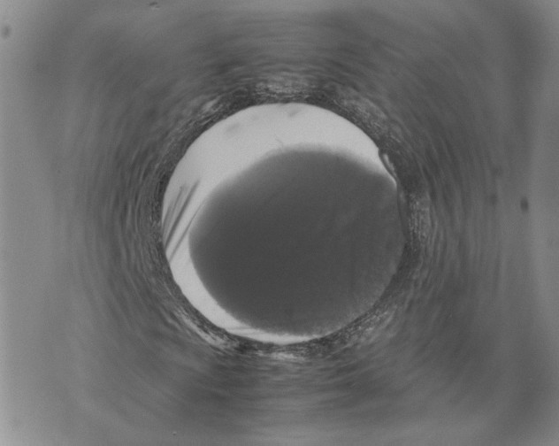 X0000070251009200606301620