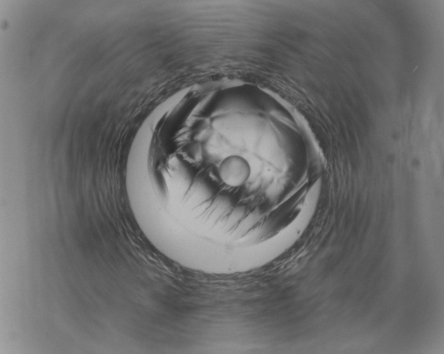 X0000070251010200606301620