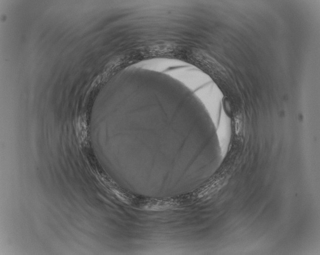 X0000070251011200606301620