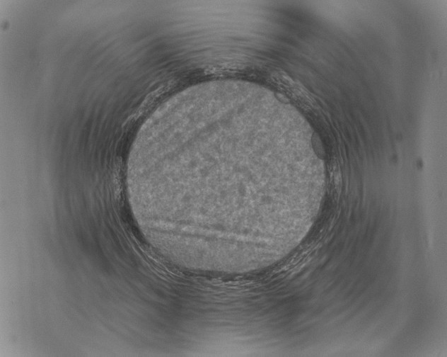 X0000070251012200606301620