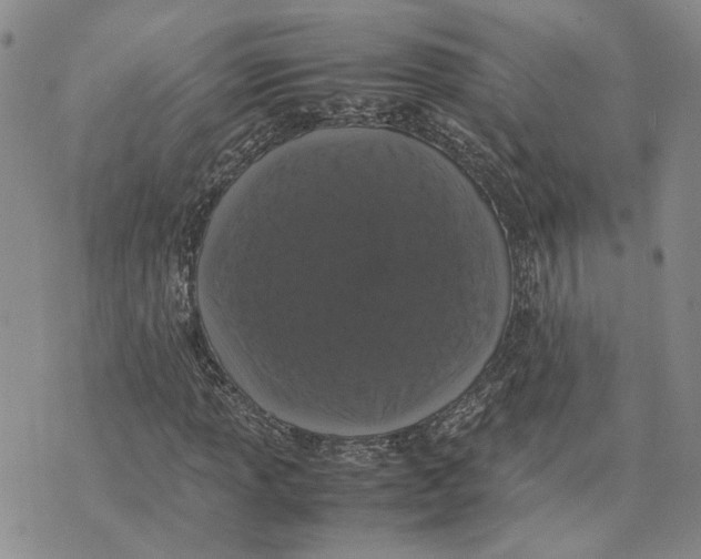 X0000070251013200606301620