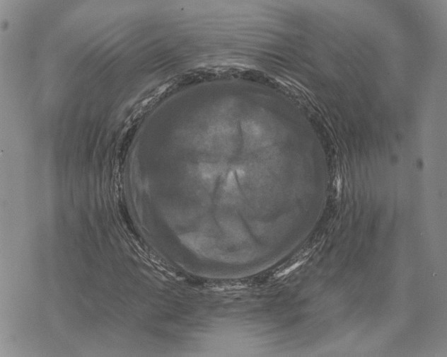 X0000070251014200606301620