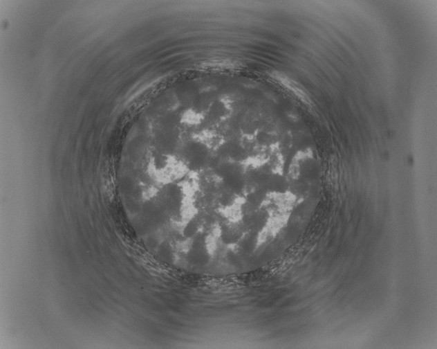 X0000070251015200606301620